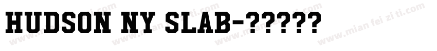 Hudson NY Slab字体转换